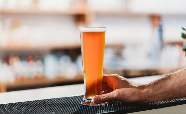 Beer Glasses 101: Everything You Need to Know Before You Buy
