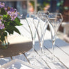 Chef & Sommelier Open Up Effervescent Flute Glasses 200ml - Set of 6 Champagne Flute Chef & Sommelier 