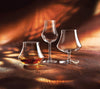 Chef & Sommelier Open Up Spirits Ambient Stem Glasses 165ml - Set of 6 Spirits Glass Chef & Sommelier 