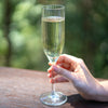 Unbreakable Bamboo Champagne Glasses 180ml - Set of 4 Stemware D-STILL Drinkware 