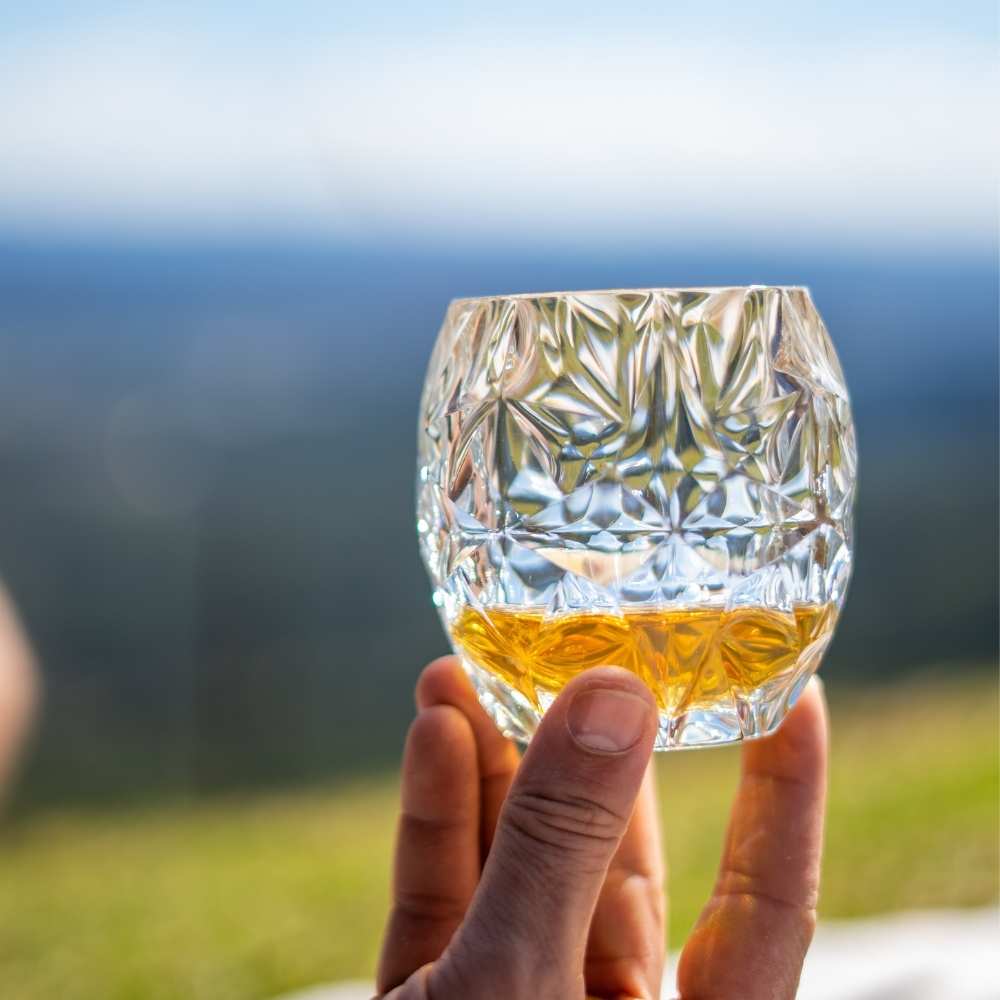 Unbreakable Heavy Whisky Rocks Glass 300ml - Set of 4 Whiskey Glass D-STILL Drinkware 