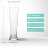 Unbreakable Pilsner Glass 650ml - Set of 6 Beer Glass D-STILL Drinkware 